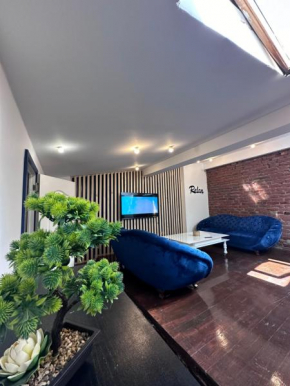 Fancy Loft Old Town